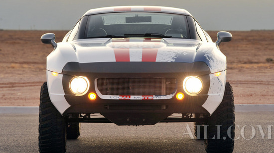 Rally Fighter