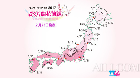 樱花季 漫步在京都领略属于古城的粉色浪漫