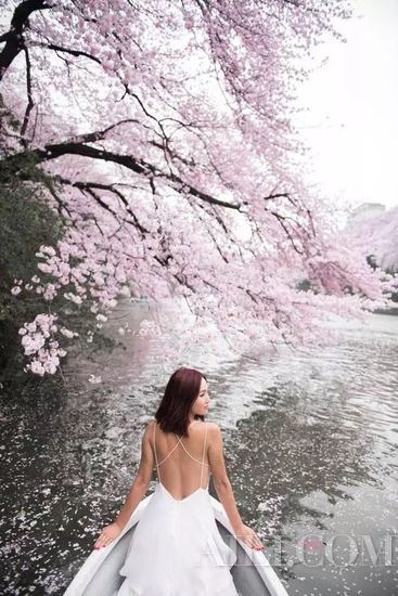 樱花季 漫步在京都领略属于古城的粉色浪漫