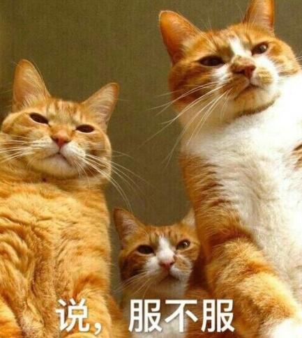 《人民的名义》破6!收视率“21世纪”最高