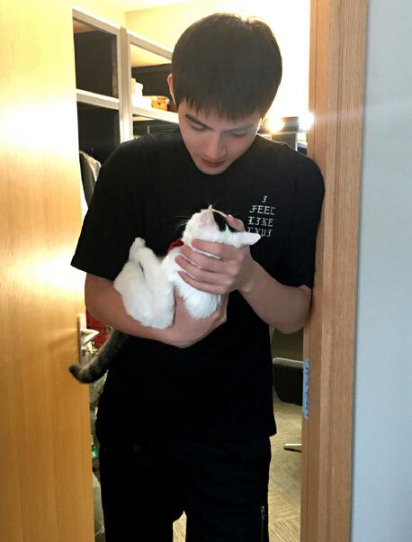 《三生三世》离镜、白真圈粉 张彬彬于朦胧彻底火了？