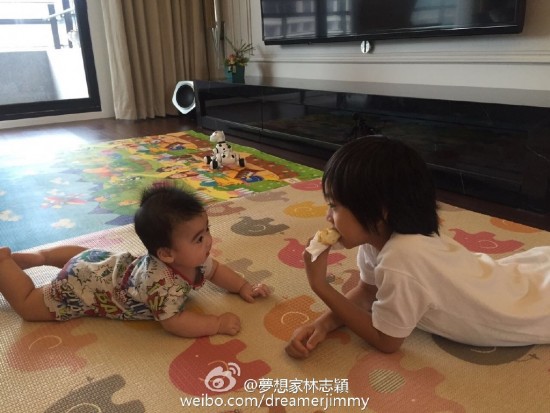 全家颜值复制粘贴 田亮陈浩民陆毅林志颖最服谁？