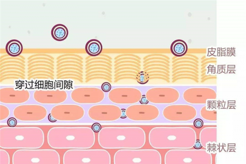 image002.png
