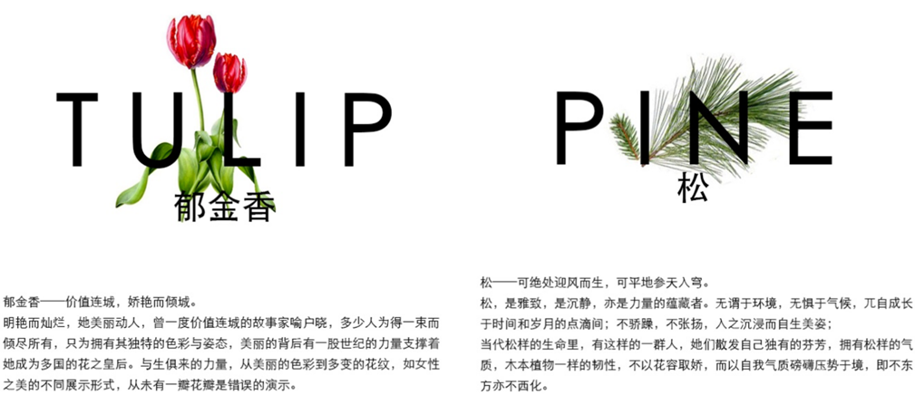 QQ截图20190416122505.png