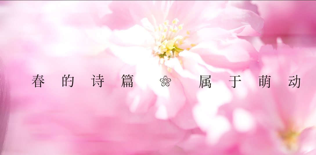 2020全球星粉节:五星艺星,让世界更美!