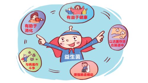 优思益益生菌咀嚼片——宝宝的肠道守护盾