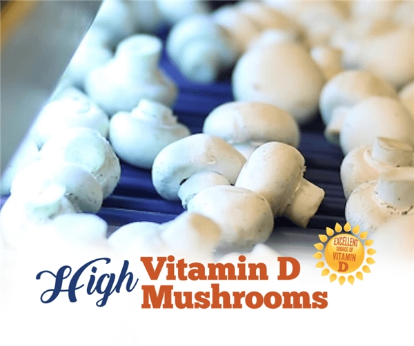 澳洲富维健营养专家：蘑菇维生素D能帮助儿童补钙