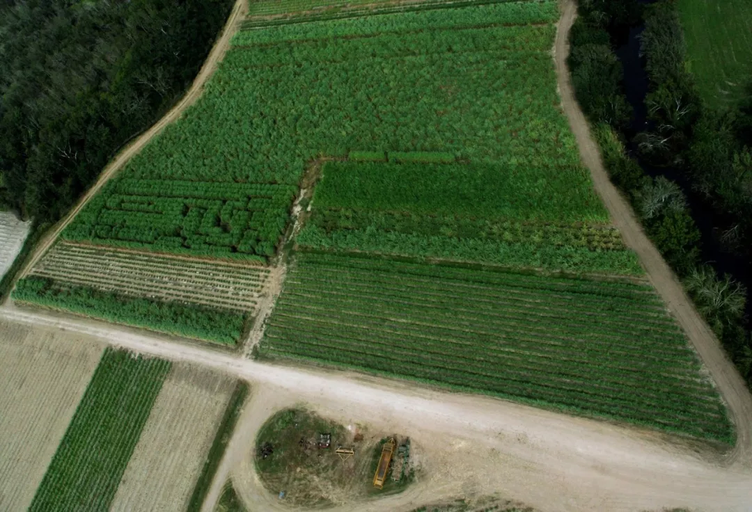 image021.png
